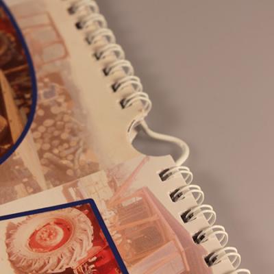 Calendario Aranova 2015 Spirale Wire O