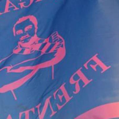 Bandiera Briganti Frentani Particolare