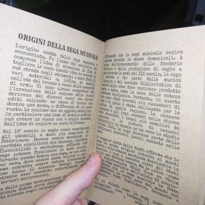 La Sega Musicale Mini Libro Particolare