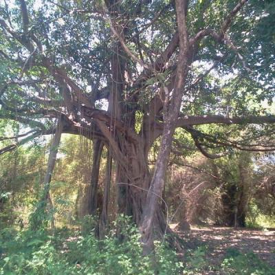 Cicloturiasta Vietnam 2017 04 24 001