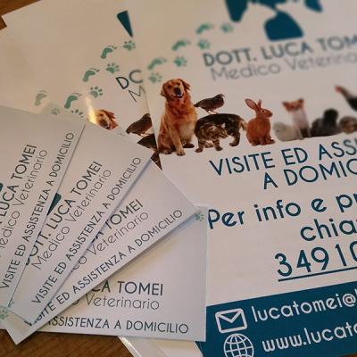 Luca Tomei Volantini A5 Particolare 2
