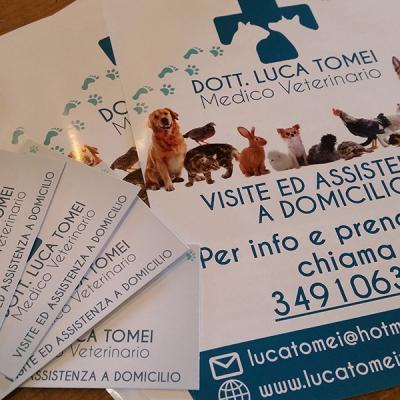 Luca Tomei Volantini A5 Particolare 3