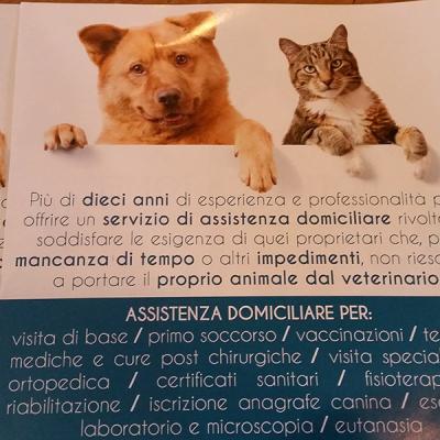 Luca Tomei Volantini A5