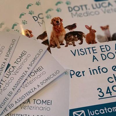 Immagine coordinata, veterinario...