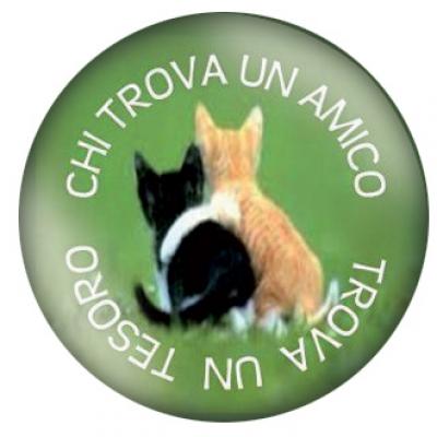 Chi Trova Un Amico Trova Un Tesoro7