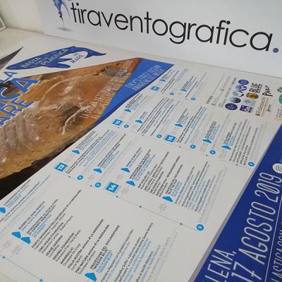 Basta Con La Plastica In Mare Manifesto Ufficiale